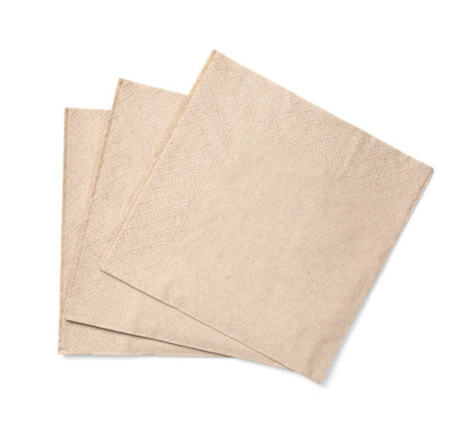 White/Brown 2-ply Paper Napkin - 200 pcs - Eco Leaf Products